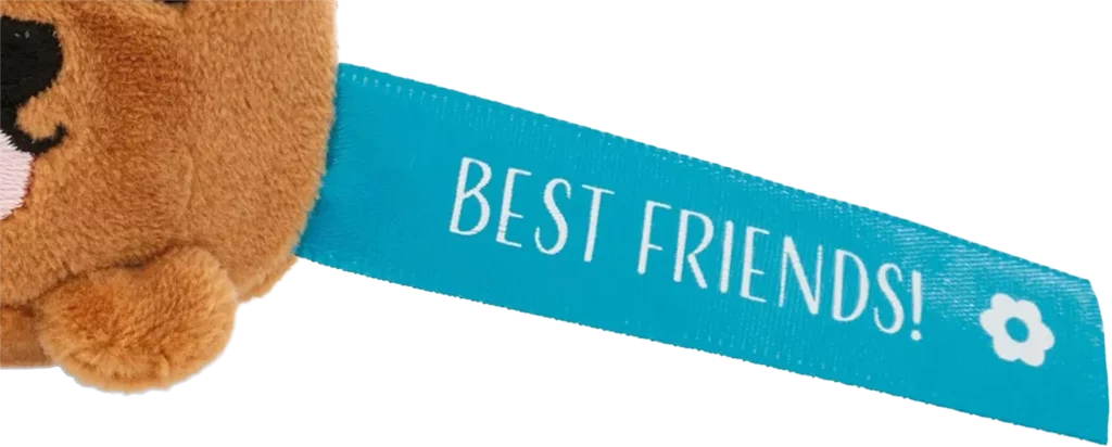 Raktų pakabukas - meškiukas su užrašu geriausios draugės / geriausi draugai | NICI Keychain Bear "Best Friends!“ – Lanksti.lt