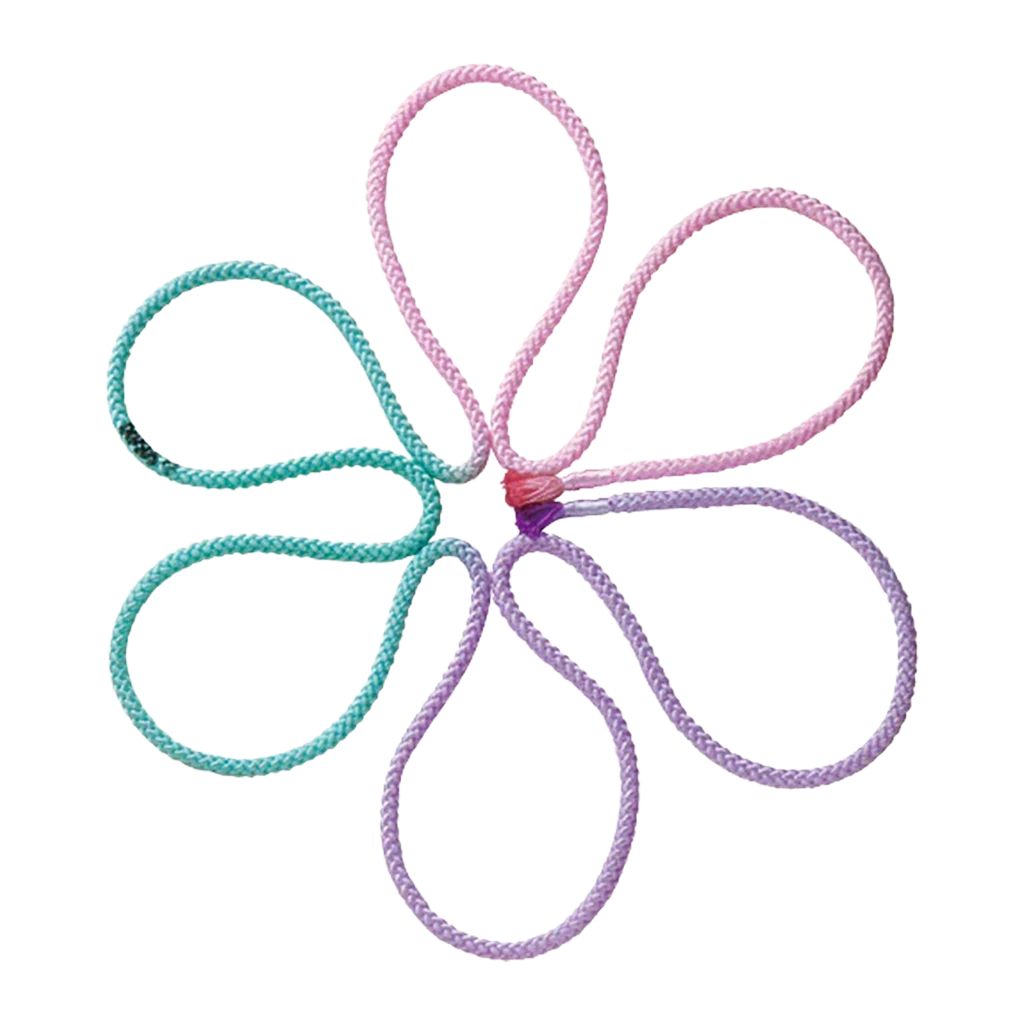 Sasaki meninės gimnastikos šokdynė „Tri-Color Rope“ FIG - Lanksti.lt