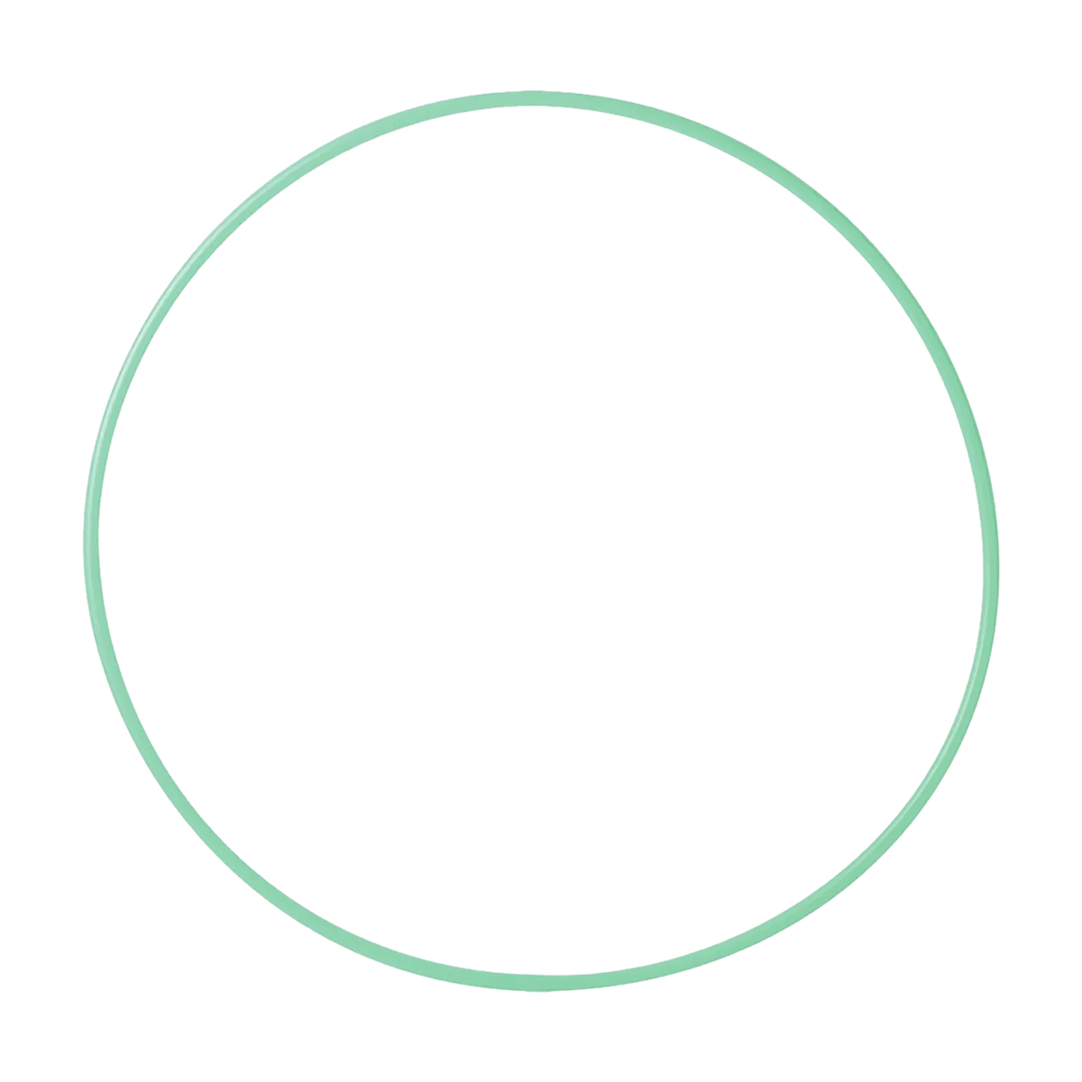 Sasaki Standard Hoop rhythmic gymnastics hoop, ice mint, M-13 ICMI - lanksti.lt
